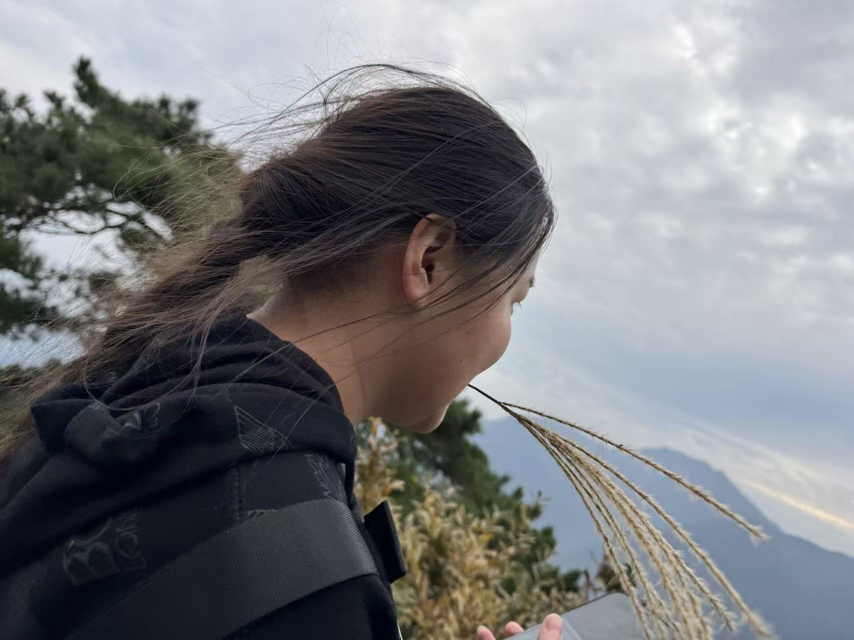 秋游登庐山